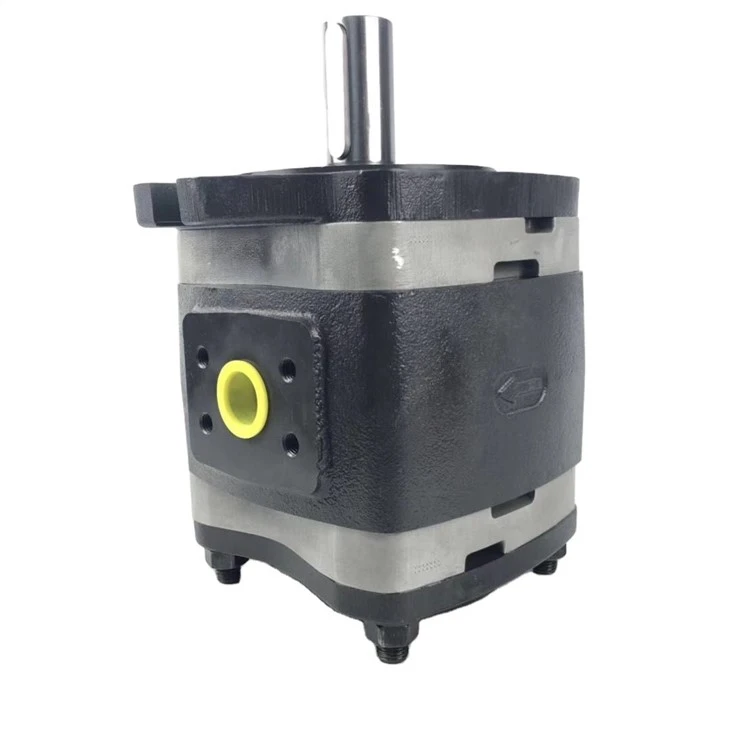 Germany IPV IPVAP Series Hydraulic Internal Gear Pump Oil Pump IPVP6-80